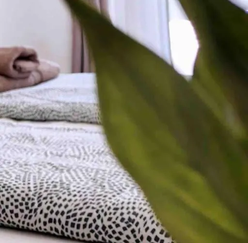 Apartament z 1 sypialnią